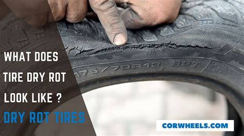 Dry Rot On Tires - Its Signs, Causes & Tips To Prevent