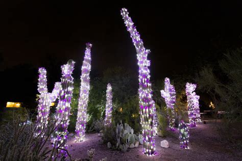 ZooLights Holiday Event at the Phoenix Zoo (2018–2019)