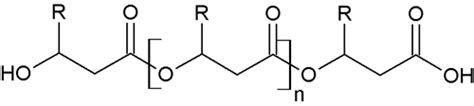 PolyFerm Canada