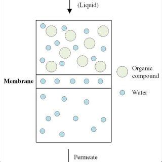 The membrane mechanism for pervaporation | Download Scientific Diagram