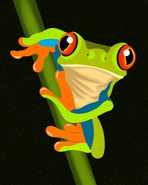 Tree Frog Digital Art - Red Eyed Tree Frog by Nicole Wilson | Frog art ...