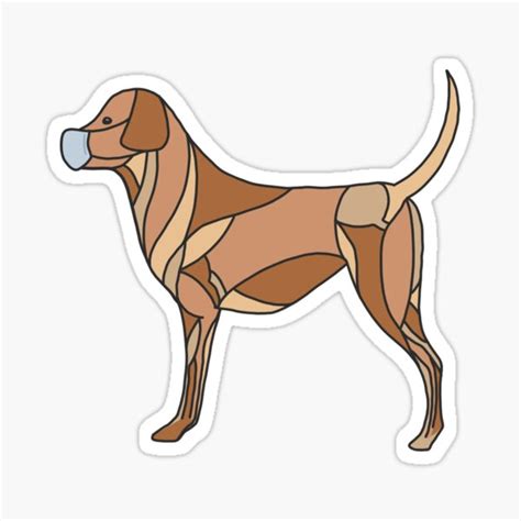 "Dog muscle vet anatomy sticker" Sticker by inkandbee | Redbubble