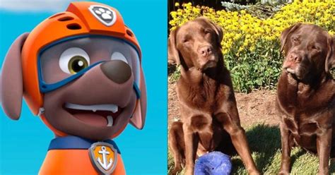 What Are the Dog Breeds on ‘Paw Patrol’? Here's What We Know