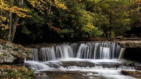 10 Best State Parks in West Virginia - NewHomeSource