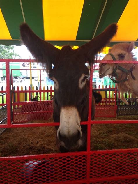 The Dutchess County Fair is the 2nd largest agricultural fair in the state. It features ...