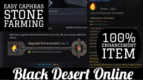 Black Desert Online [BDO] Grind Caphras Stones Easy Without Softcap ...