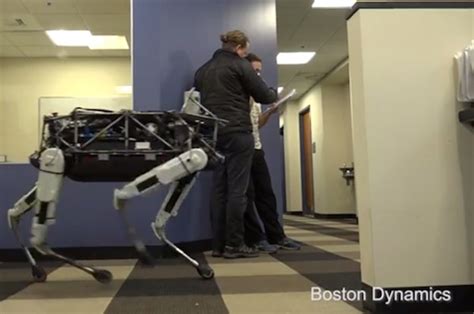 Scientists Built an Incredible Robot Dog, Guy Starts Kicking It | Complex