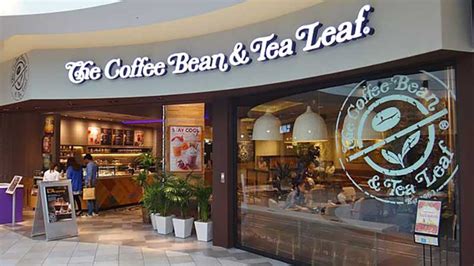 The Best 10 Tea Franchise Opportunities in USA for 2022 | Topfranchise.com