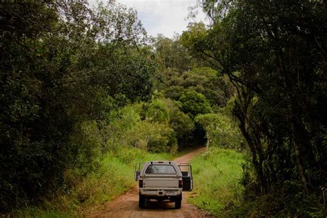 Safaris in Tissamaharama, Sri Lanka | Holidify