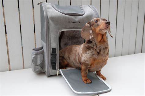 Clear Dog Backpack at April Spencer blog