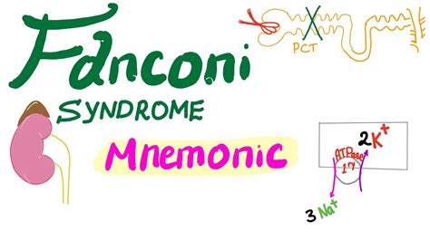 10 Symptoms of Fanconi syndrome You Should Never Ignore - Huffington News