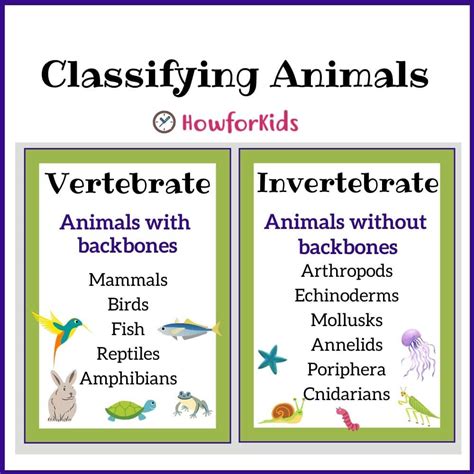 Vertebrates and Invertebrates for Kids – HowForKids