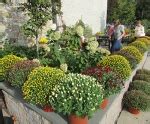 09/23/2023 | Friends of the Library Fall Book and Plant Sale | Abington Township Public Library