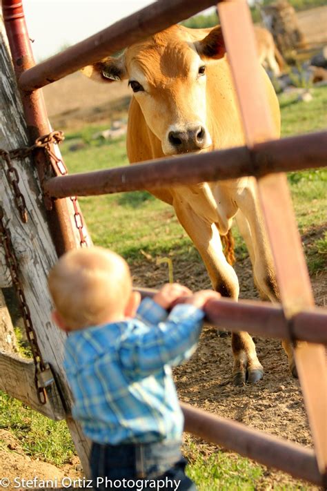 Animals For Kids, Farm Animals, Animals And Pets, Cute Animals, Sweet Cow, Farm Themed Birthday ...