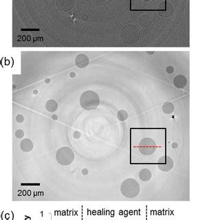 Demonstrating the application of phase contrast X-ray imaging. A ...