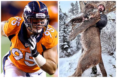 Derek Wolfe: Retired Super Bowl champion hunted a gigantic mountain lion that 'wreaked havoc' in ...