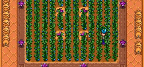 Stardew Valley: 14 Best Crops To Grow In The Greenhouse