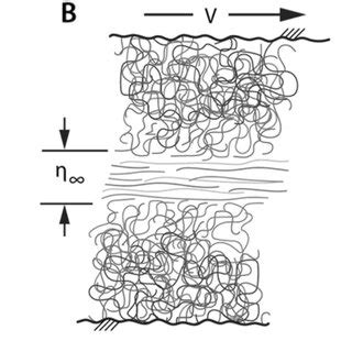 A Biological fluids are well-known to exhibit shear-thinning behavior,... | Download Scientific ...