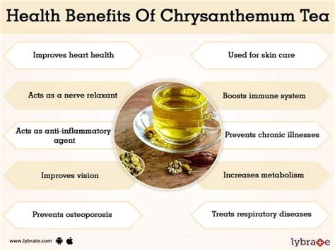 Chrysanthemum Tea Benefits