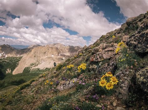 Mount Columbia Summit Trail - Becoming an Enjoyable 14er - REI Co-op ...