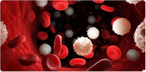 Determining Disease Through White Blood Cells