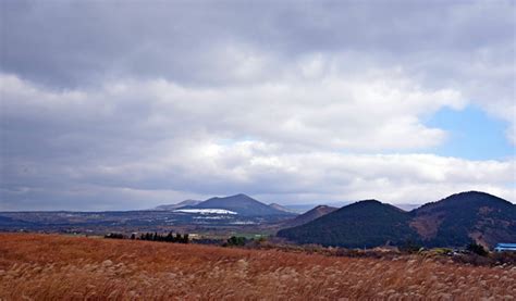 Jeju Island Autumn/Fall Foliage 1 Day Tour 2019 - Trazy, Korea's #1 ...