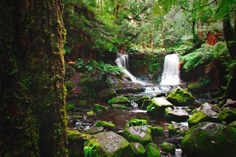 Mount Field National Park, Tasmania, Australia [OC] [5472 x 3648] : r/EarthPorn