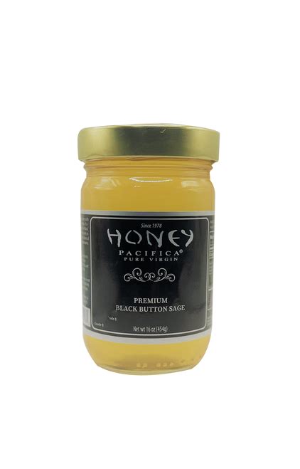 Premium Black Button Sage Honey 2023 - Honey Pacifica