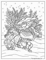 Moss Coloring Page sketch template