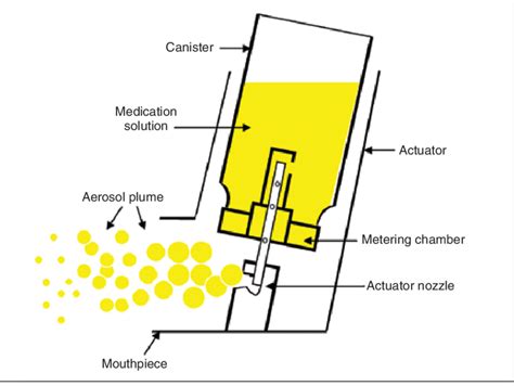 [DIAGRAM] Diagram Of Parts Of An Inhaler - MYDIAGRAM.ONLINE