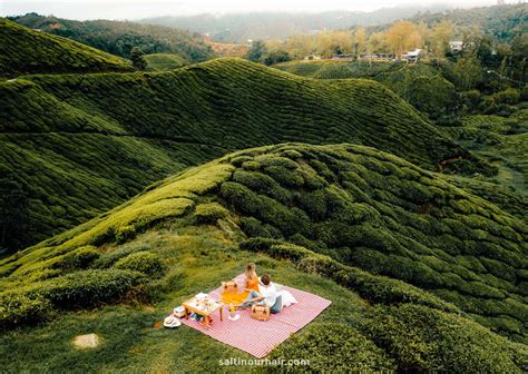 Cameron Highlands: Tea Plantations & Trails - Malaysia