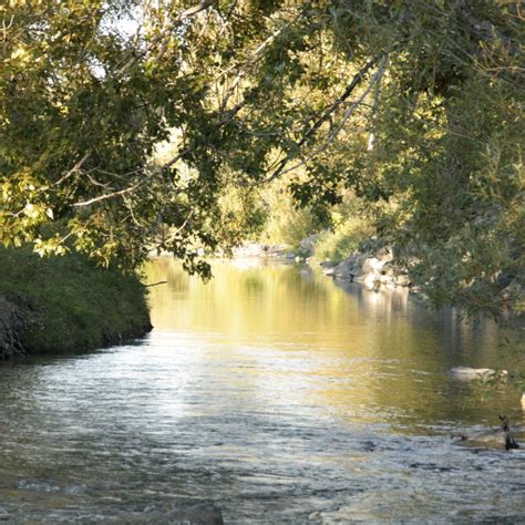 Pincher Creek Voice: Pincher Creek's Pincher Creek gets a gets a Great Canadian Shoreline Clean Up