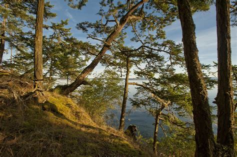 The Best Hikes Trips On San Juan Island