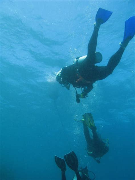 scuba diving-2673 | Stockarch Free Stock Photos