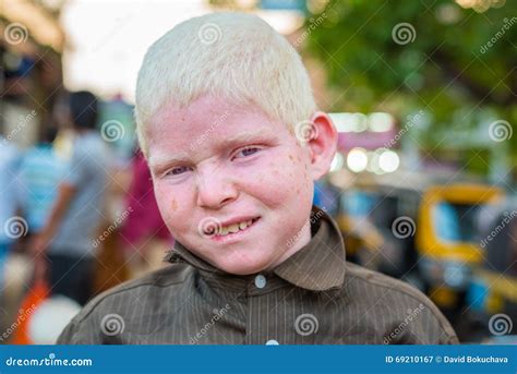 Albino Asian Water Buffalo In Local Dairy Farm In Southeast Asia Editorial Photo | CartoonDealer ...