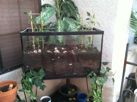 Alternative Uses For Fish Tanks – HOMYSTYLE