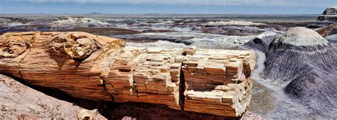 Hiking in Petrified Forest National Park, Arizona