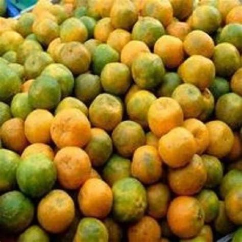 A Grade Fresh Nagpur Orange, Packaging Size: 22Kg, Packaging Type: Crate at Rs 32/kg in Shimla