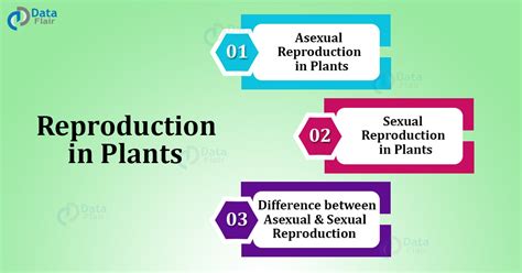 Reproduction in Plants - Sexual Reproduction and Asexual Reproduction - DataFlair