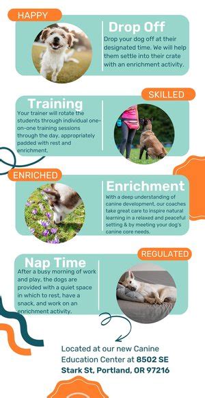 Dog Day Training Camp — Portland Oregon — Noble Woof Dog Training ...