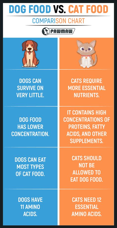 What Happens If Your Dog Eats Cat Food?