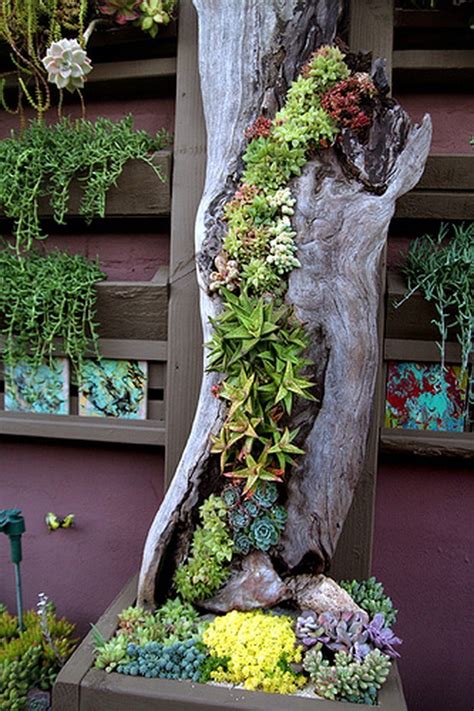 The 50 Best Vertical Garden Ideas and Designs for 2022