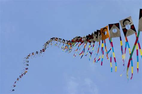 Japanese Kite Festival 2017 | The Denver Ear