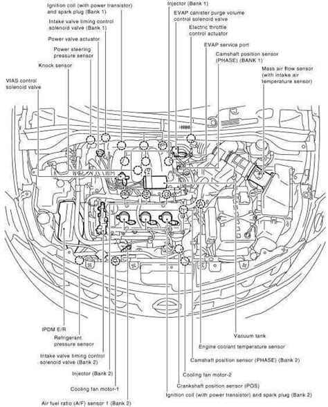 Visual Guide to 2005 Nissan Maxima Body Parts