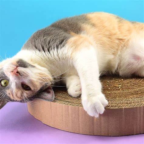 DIY Cardboard Cat Scratcher ⋆ Dream a Little Bigger