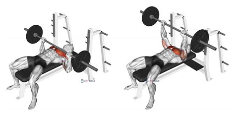 How to do a Barbell Bench Press - Home Gym Review