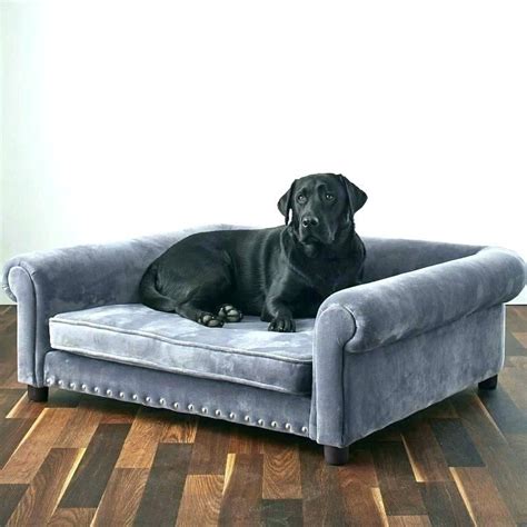 Best extra large dog beds | dogcrates