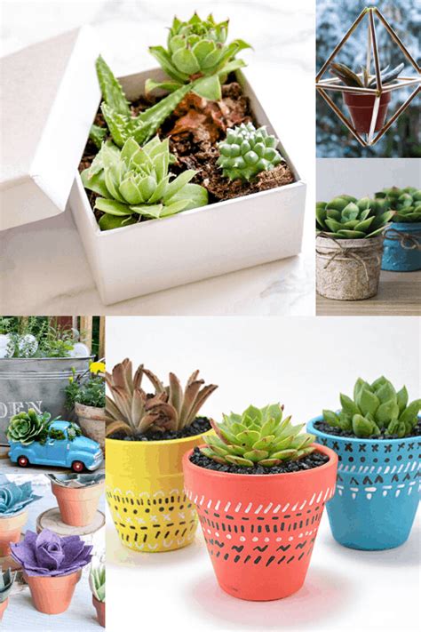 29 Cutest planter ideas for succulents - Learn to create beautiful things