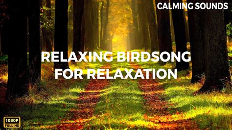 Relaxing Music with Birds Singing - Relaxing birdsong for relaxation, meditation and sleep - YouTube