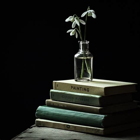 AWAKENING — La Botanica | Low key photography, Perfume photography ...